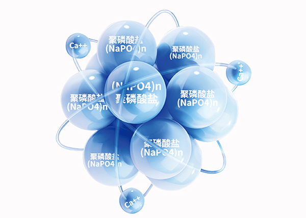 9001cc金沙以诚为本(中国集团)有限公司官网