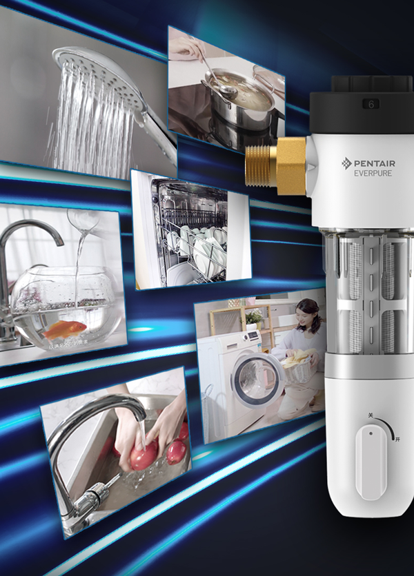 9001cc金沙以诚为本(中国集团)有限公司官网